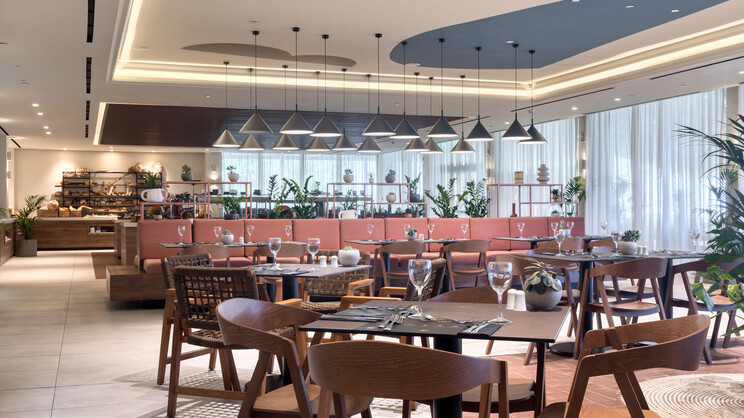 Domes Aulus Zante, Autograph Collection